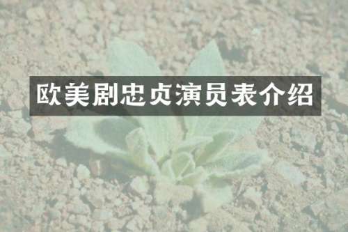 欧美剧忠贞演员表介绍