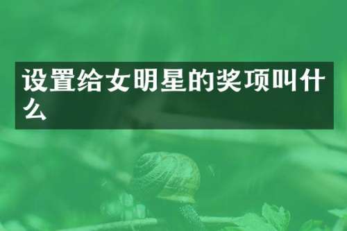 设置给女明星的奖项叫什么