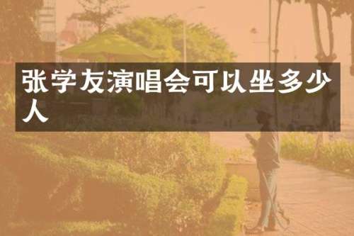 张学友演唱会可以坐多少人
