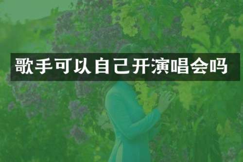 歌手可以自己开演唱会吗