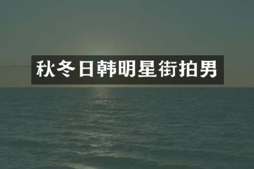 秋冬日韩明星街拍男