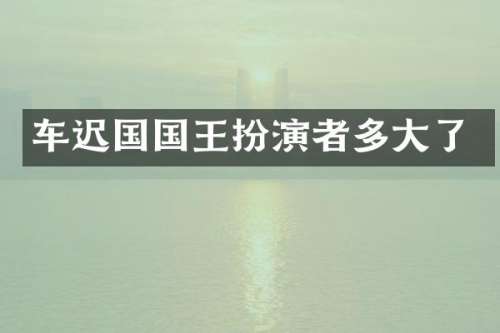 车迟国国王扮演者多大了