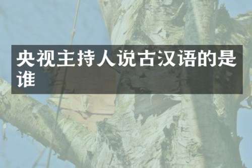 央视主持人说古汉语的是谁