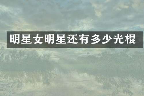 明星女明星还有多少光棍