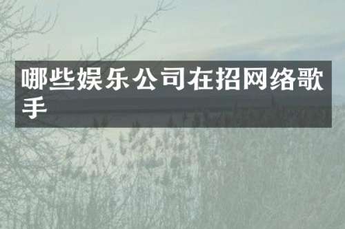 哪些娱乐公司在招网络歌手