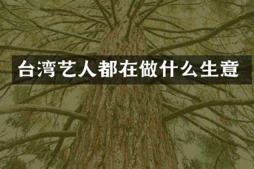 台湾艺人都在做什么生意
