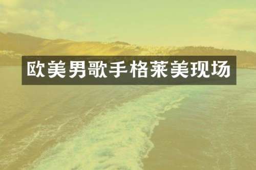 欧美男歌手格莱美现场