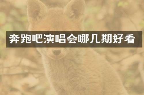 奔跑吧演唱会哪几期好看