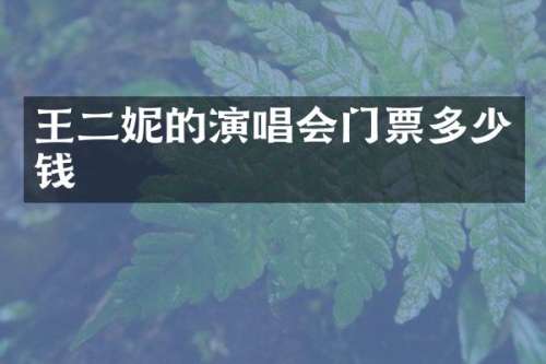 王二妮的演唱会门票多少钱