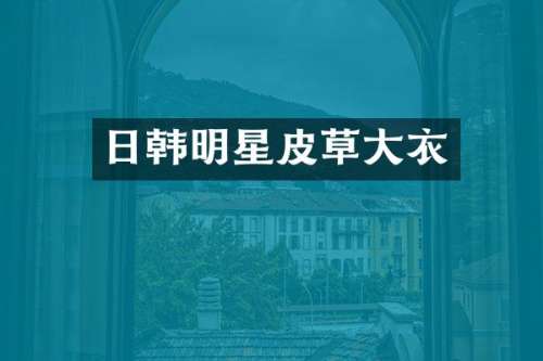 日韩明星皮草大衣
