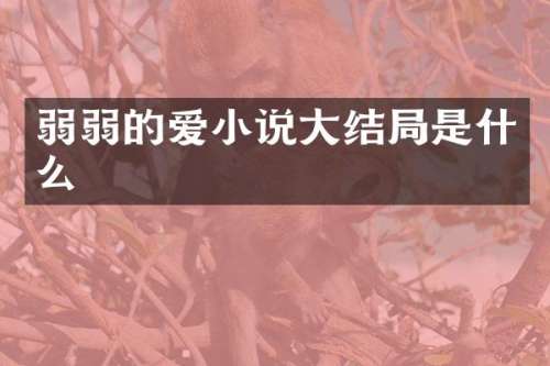 弱弱的爱小说大结局是什么