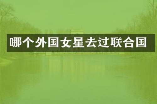 哪个外国女星去过联合国