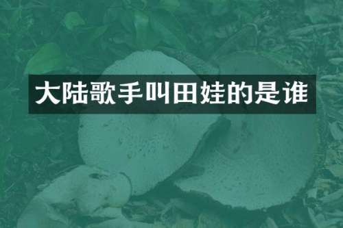 大陆歌手叫田娃的是谁