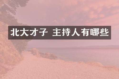 北大才子 主持人有哪些