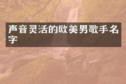 声音灵活的欧美男歌手名字