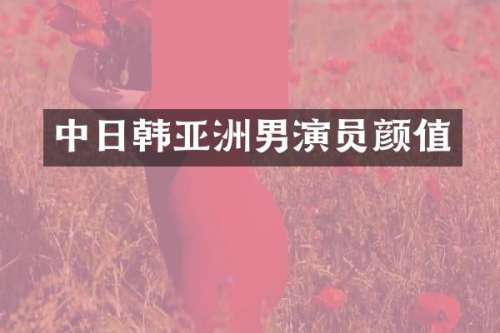 中日韩亚洲男演员颜值