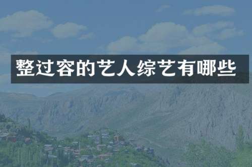 整过容的艺人综艺有哪些