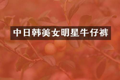 中日韩明星牛仔裤