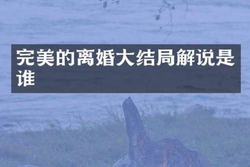 完美的离婚大结局解说是谁