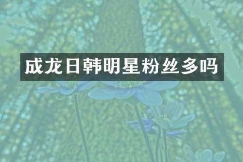 成龙日韩明星粉丝多吗