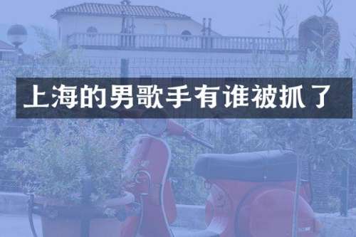 上海的男歌手有谁被抓了
