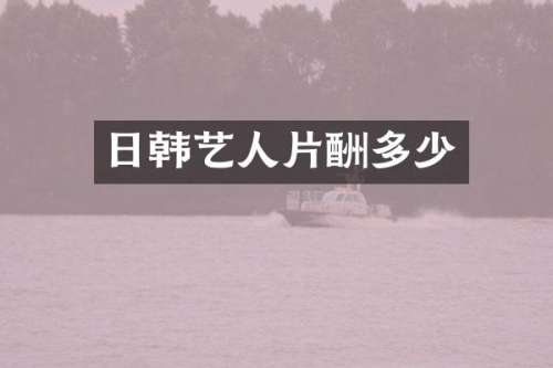 日韩艺人片酬多少