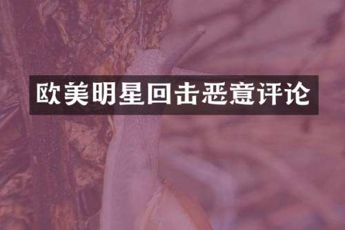 欧美明星回击恶意评论