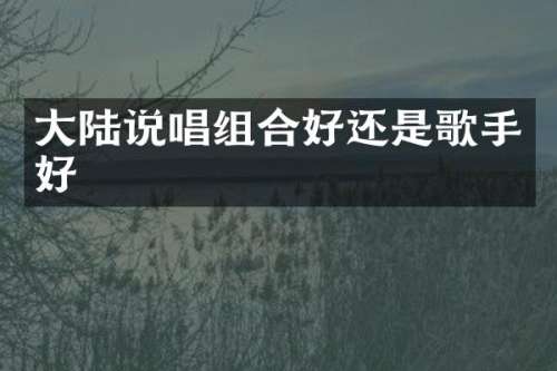 大陆说唱组合好还是歌手好