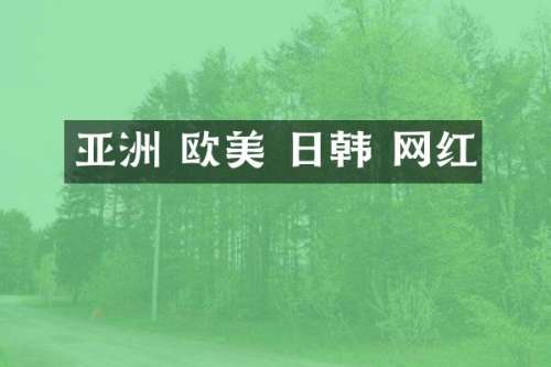 亚洲 欧美 日韩 网红