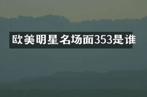 欧美明星名场面353是谁
