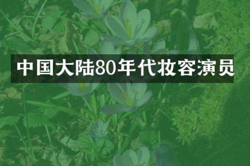 中国大陆80年代妆容演员