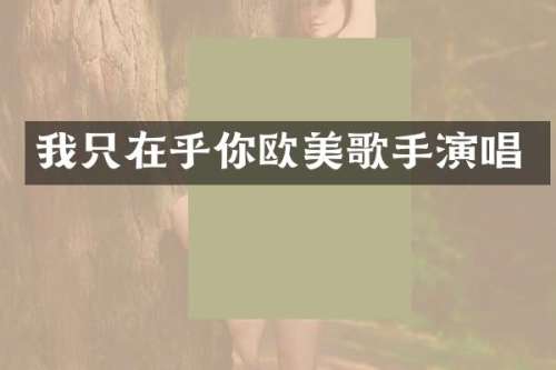 我只在乎你欧美歌手演唱