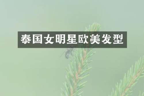 泰国女明星欧美发型