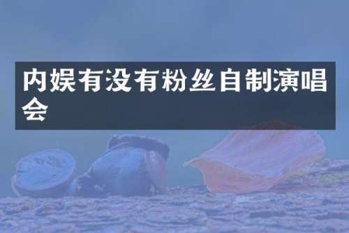 内娱有没有粉丝自制演唱会