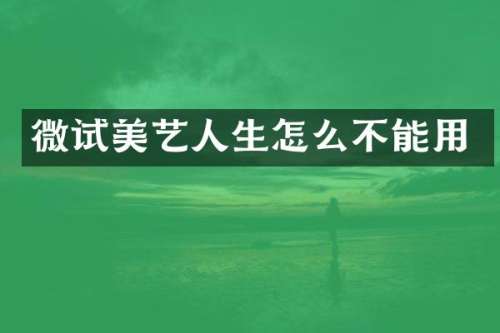 微试美艺人生怎么不能用