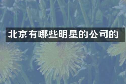 北京有哪些明星的公司的