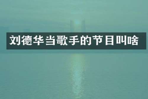 刘德华当歌手的节目叫啥