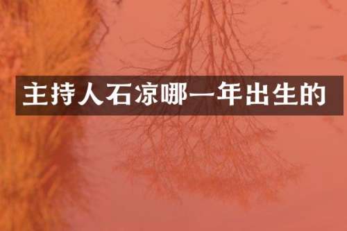 主持人石凉哪一年出生的