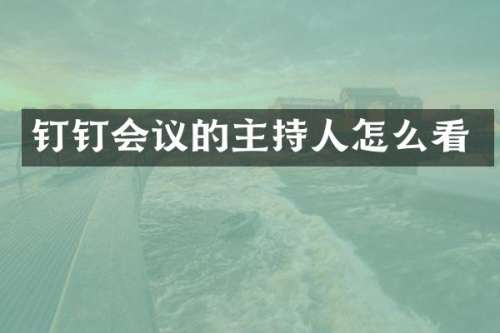 钉钉会议的主持人怎么看