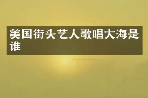 美国街头艺人歌唱大海是谁