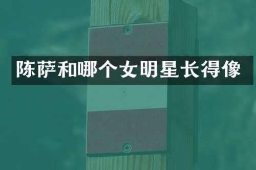 陈萨和哪个女明星长得像