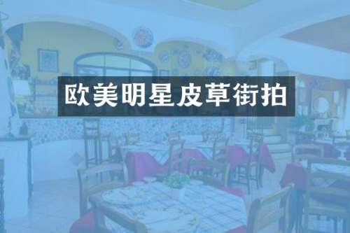 欧美明星皮草街拍