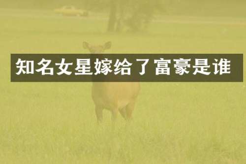 知名女星嫁给了富豪是谁