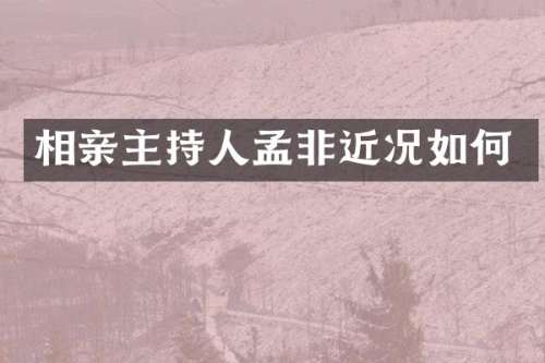 相亲主持人孟非近况如何