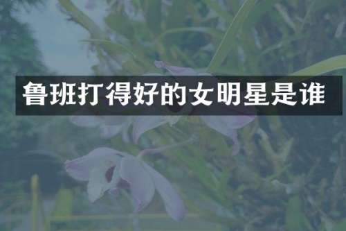 鲁班打得好的女明星是谁
