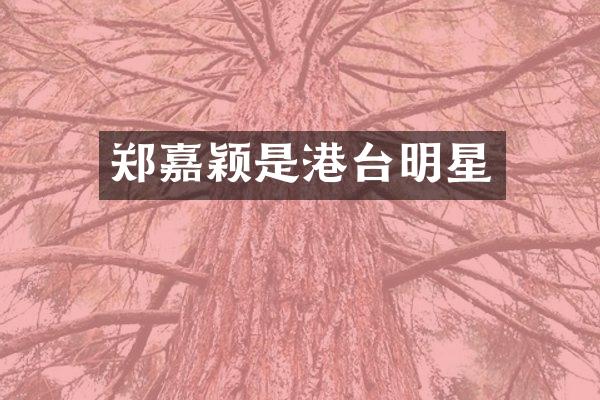 郑嘉颖是港台明星
