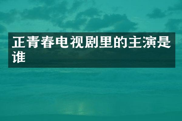 正青春电视剧里的主演是谁