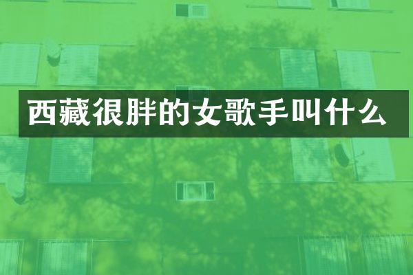 西藏很胖的女歌手叫什么