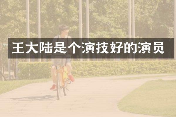 王大陆是个演技好的演员