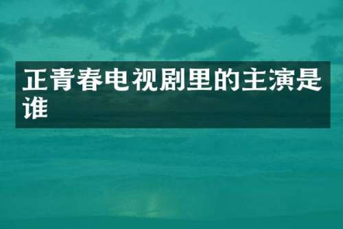 正青春电视剧里的主演是谁